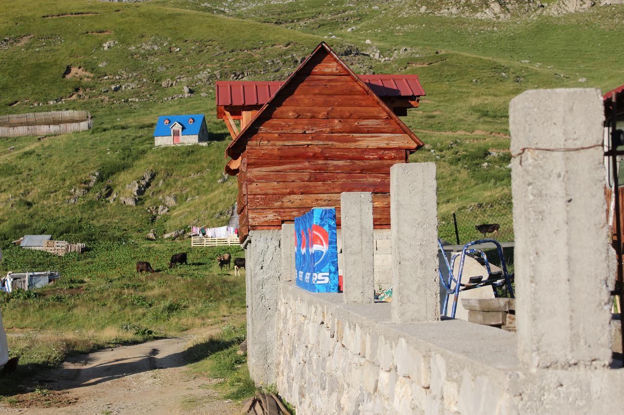 Hostel Rural Household Minic - Kapetanovo Jezero Kolašin Exterior foto